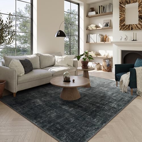 Lahome Washable Area Rugs 5x7,Boho Black and White Rugs for Living Room,Modern Abstract Ombre Soft Non-Slip Low-Pile Throw Carpet for Bedroom Dining R