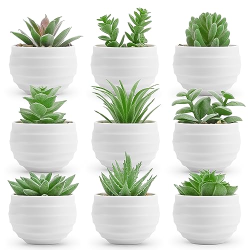 Der Rose 9 Pack Fake Plants Small Realistic Succulents Plants Artificial for Home Room Decor Indoor