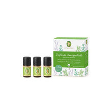 Primavera Aromatic First Aid Kit 3 x 5 ml