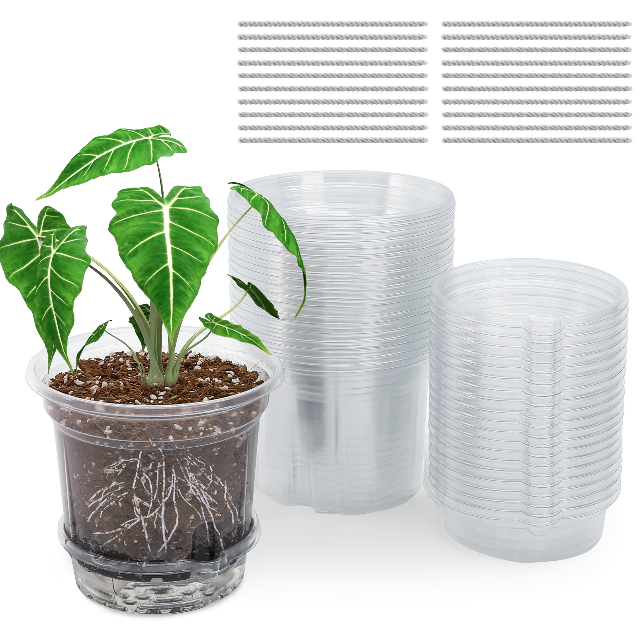 TEMU 20 Packs 5 Inch Clear Plant Pots, Plastic Self Watering Planters With Drainage Holes, Deep Reservoir, Transparent Nursery Pots