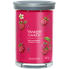 Yankee candle Becher Signature Tumbler Candle Red Raspberry (Himbeeren) – 122,0 g