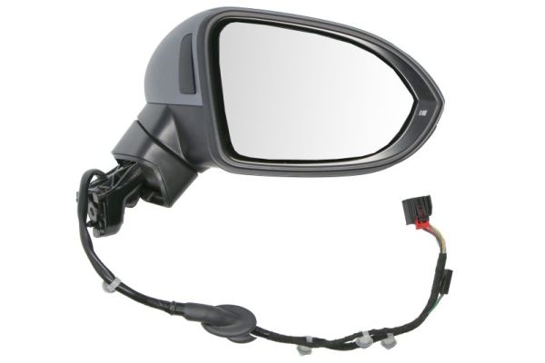Exterior Mirror BLIC 5402-01-1585313P