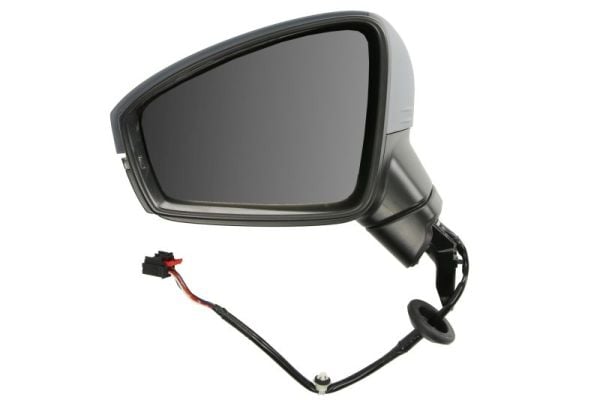 Exterior Mirror BLIC 5402-01-1609310P