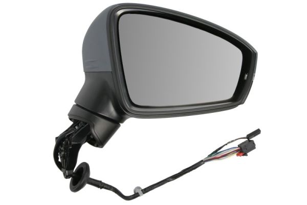 Exterior Mirror BLIC 5402-01-1609313P