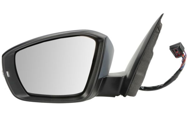 Exterior Mirror BLIC 5402-01-2339314P