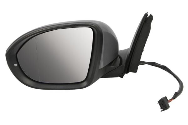 Exterior Mirror BLIC 5402-01-2542310P