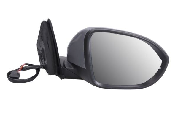 Exterior Mirror BLIC 5402-01-2542311P