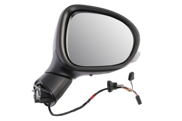 Exterior Mirror BLIC 5402-01-2542313P