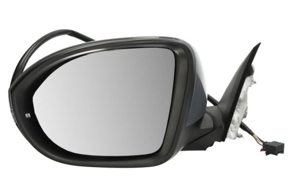 Exterior Mirror BLIC 5402-01-2555310P