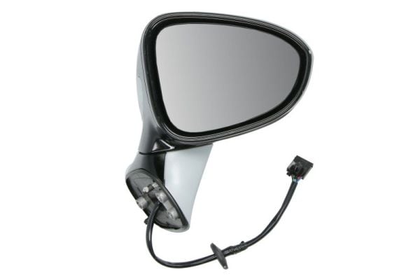 Exterior Mirror BLIC 5402-04-1103317P