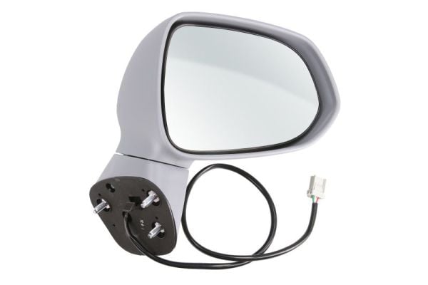 Exterior Mirror BLIC 5402-04-1122922