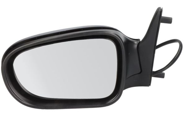 Exterior Mirror BLIC 5402-04-1125131