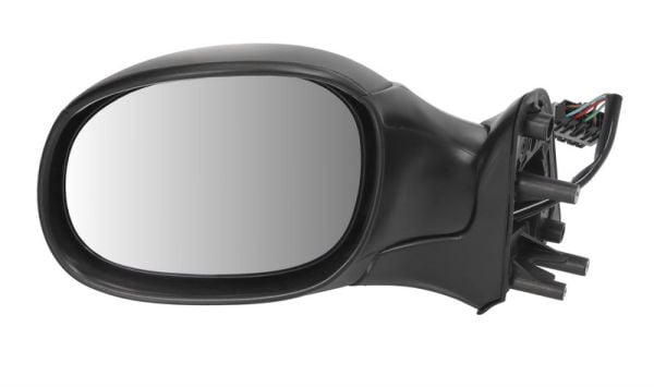 Exterior Mirror BLIC 5402-04-1125312