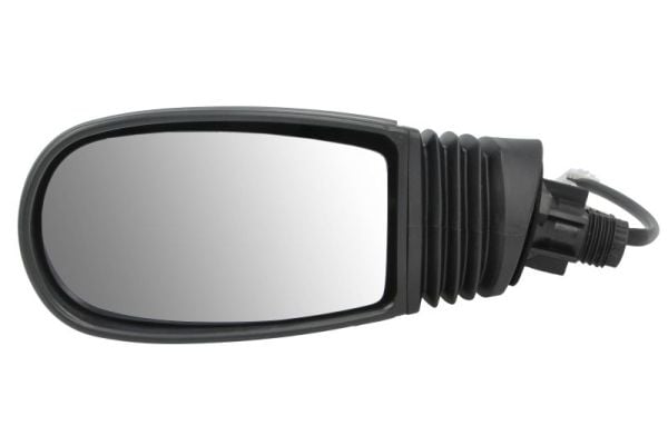 Exterior Mirror BLIC 5402-04-1125329