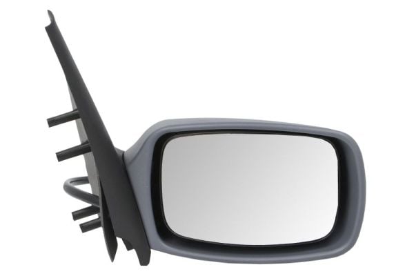 Exterior Mirror BLIC 5402-04-1129381
