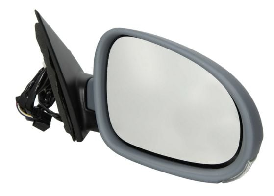 Exterior Mirror BLIC 5402-04-1132118