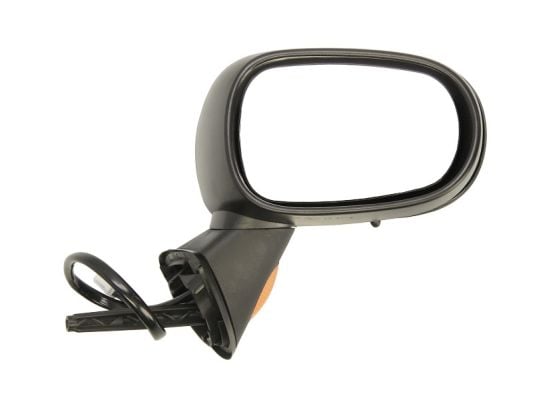 Exterior Mirror BLIC 5402-04-1132177P