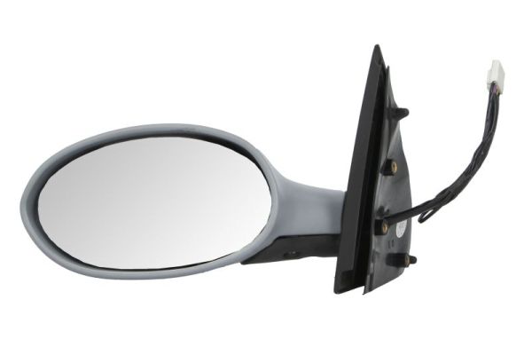 Exterior Mirror BLIC 5402-04-1135280