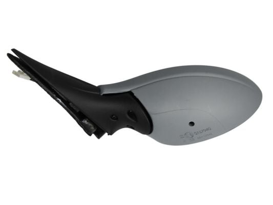 Exterior Mirror BLIC 5402-04-1139273