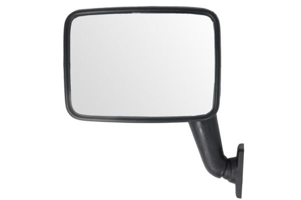 Exterior Mirror BLIC 5402-04-1191984