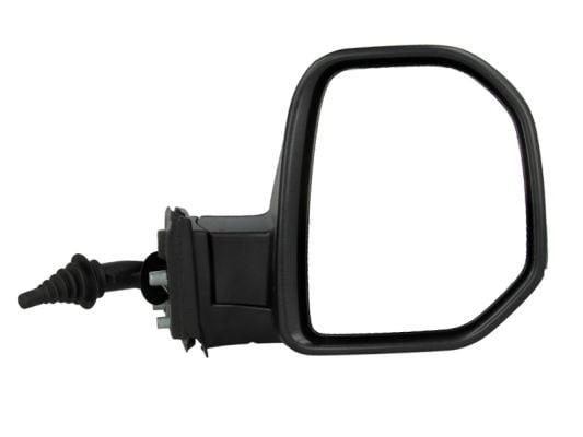 Exterior Mirror BLIC 5402-04-9215998