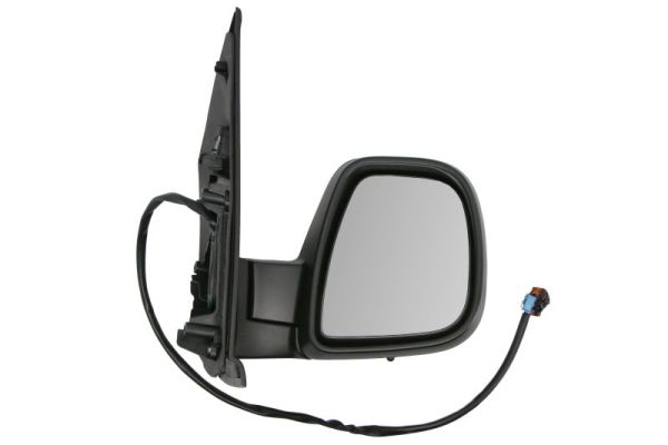 Exterior Mirror BLIC 5402-07-2491311P