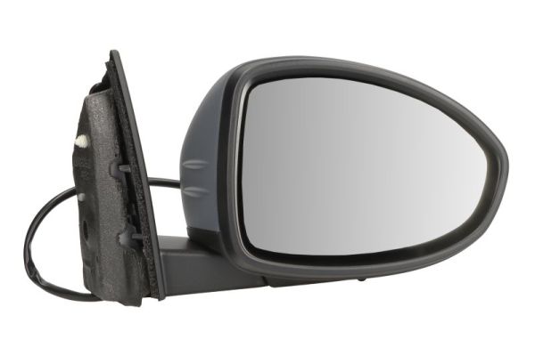 Exterior Mirror BLIC 5402-07-2590311P