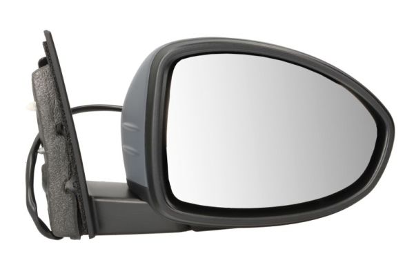 Exterior Mirror BLIC 5402-07-2590313P