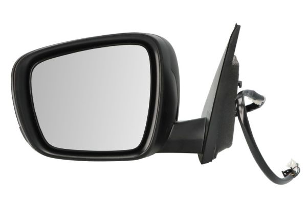 Exterior Mirror BLIC 5402-09-1208314P