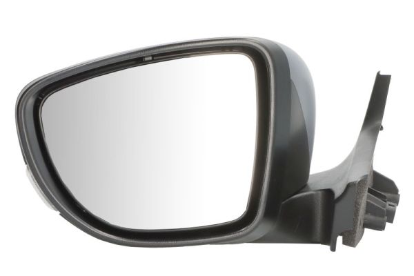 Exterior Mirror BLIC 5402-09-1256314P
