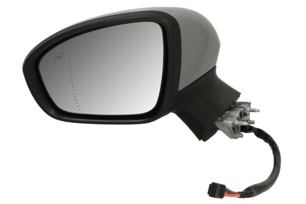 Exterior Mirror BLIC 5402-09-2313314P