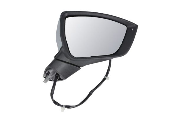 Exterior Mirror BLIC 5402-10-2439311P