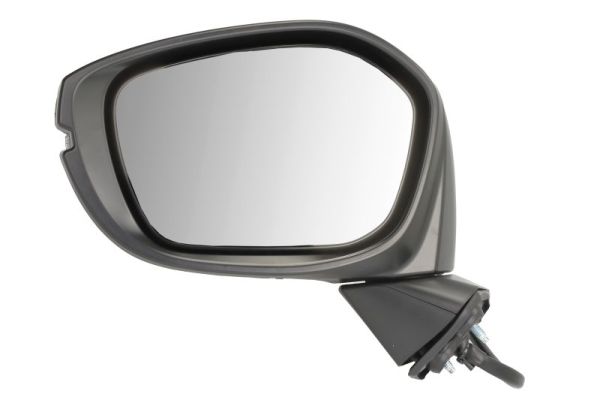 Exterior Mirror BLIC 5402-12-2501310P