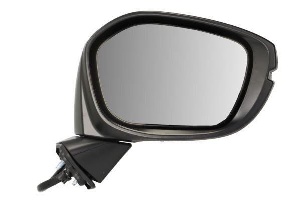 Exterior Mirror BLIC 5402-12-2501311P