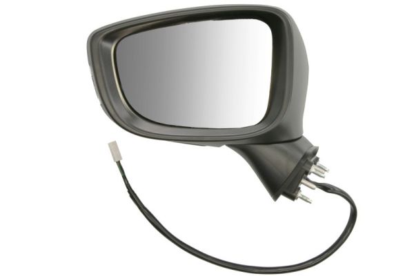 Exterior Mirror BLIC 5402-14-0741318P
