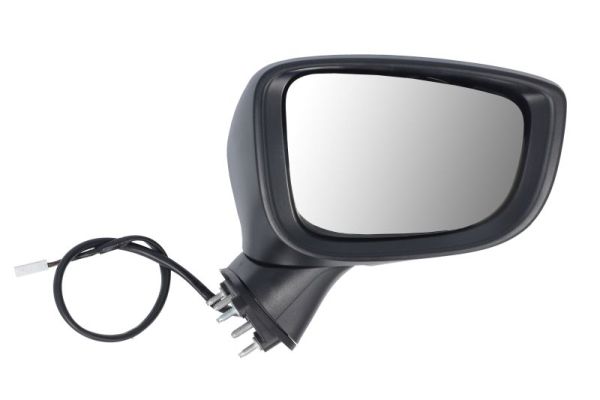 Exterior Mirror BLIC 5402-14-0741319P