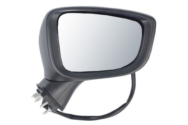 Exterior Mirror BLIC 5402-14-0741323P