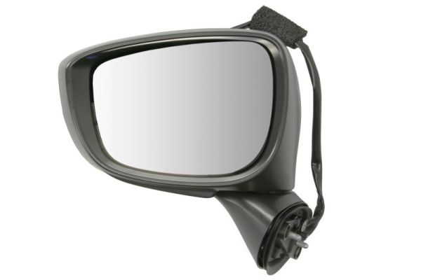 Exterior Mirror BLIC 5402-14-1905312P
