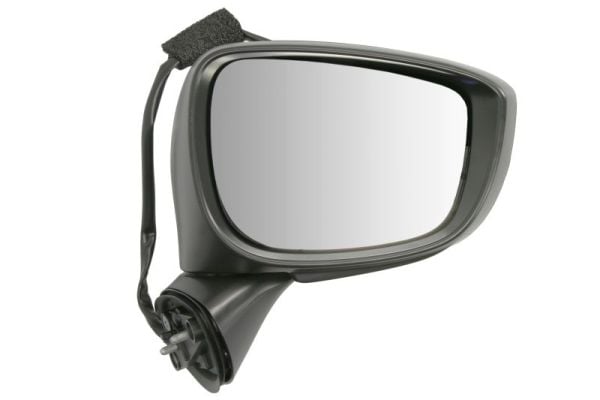 Exterior Mirror BLIC 5402-14-1905313P