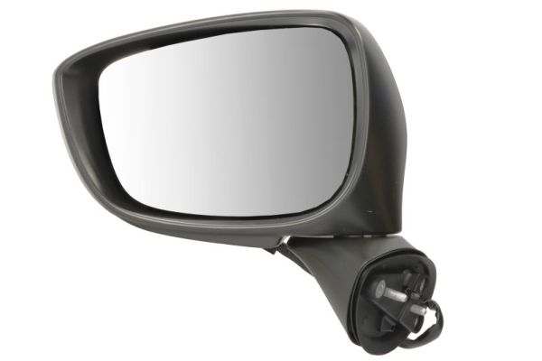 Exterior Mirror BLIC 5402-14-1905316P