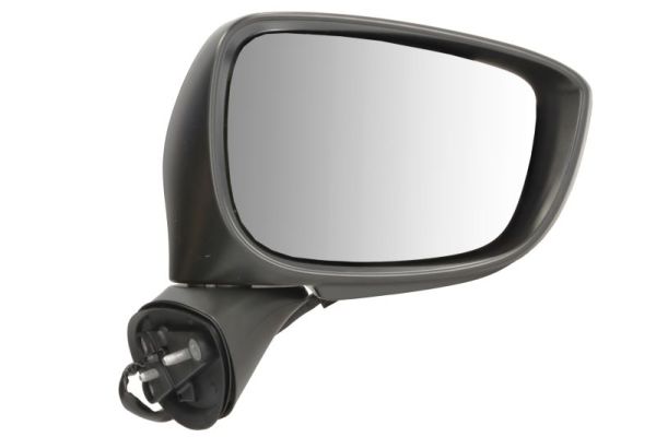 Exterior Mirror BLIC 5402-14-1905317P