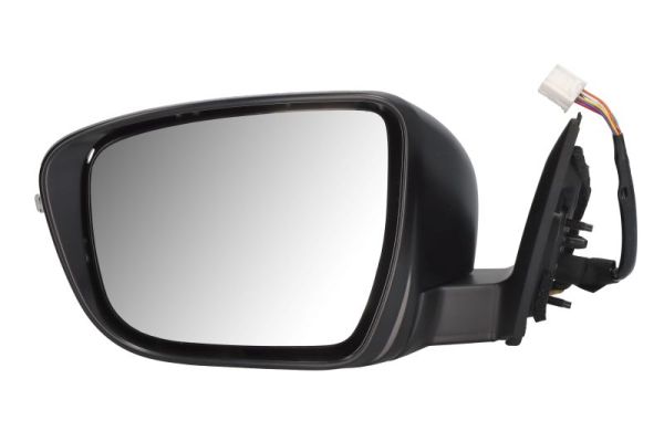 Exterior Mirror BLIC 5402-16-1036318P