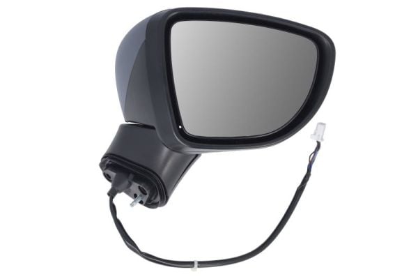Exterior Mirror BLIC 5402-16-2104317P