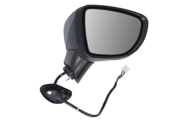 Exterior Mirror BLIC 5402-16-2104319P