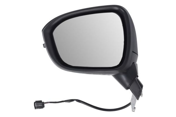 Exterior Mirror BLIC 5402-16-2384310P