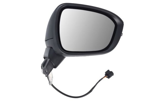 Exterior Mirror BLIC 5402-16-2384311P