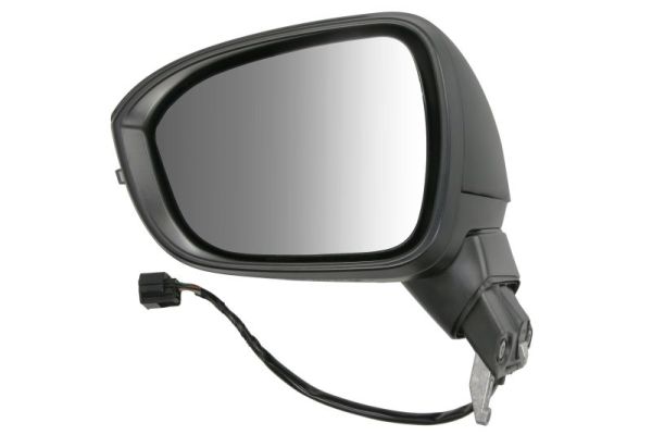 Exterior Mirror BLIC 5402-16-2384312P
