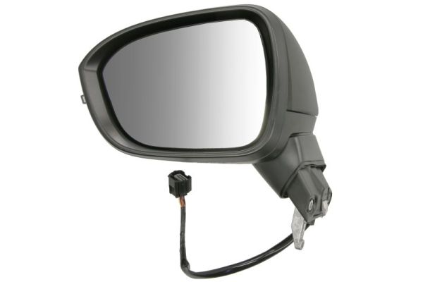 Exterior Mirror BLIC 5402-16-2384314P
