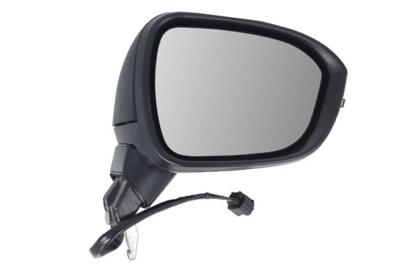 Exterior Mirror BLIC 5402-16-2384315P