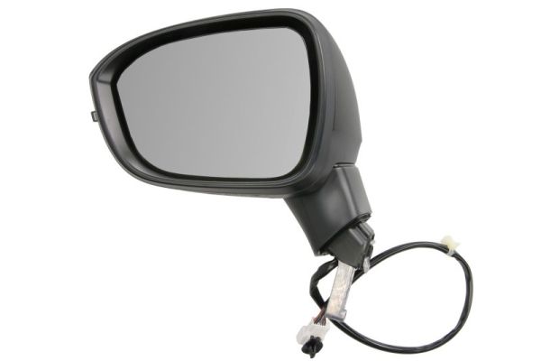 Exterior Mirror BLIC 5402-16-2556310P